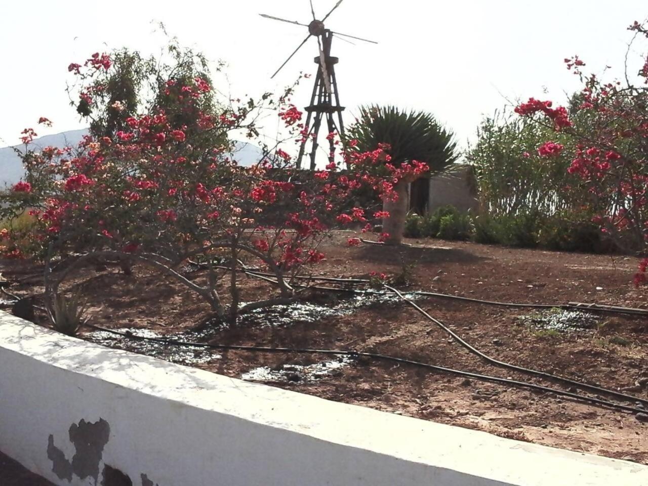 Rural Rugama Villa Puerto del Rosario  Exterior foto